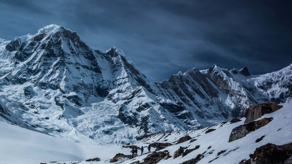Himalaya toxic image